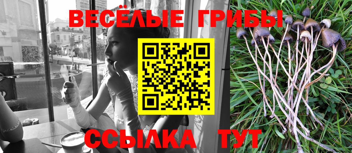 Галлюциногенные грибы прущие грибы Мыски