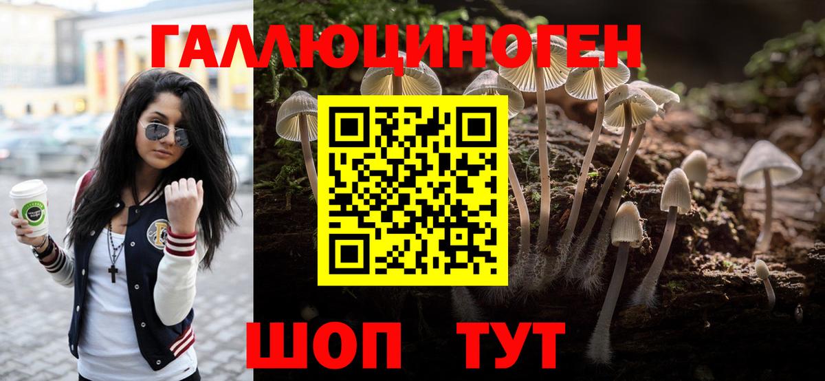 Мыски  Псилоцибиновые грибы GOLDEN TEACHER  Вход с VPN 