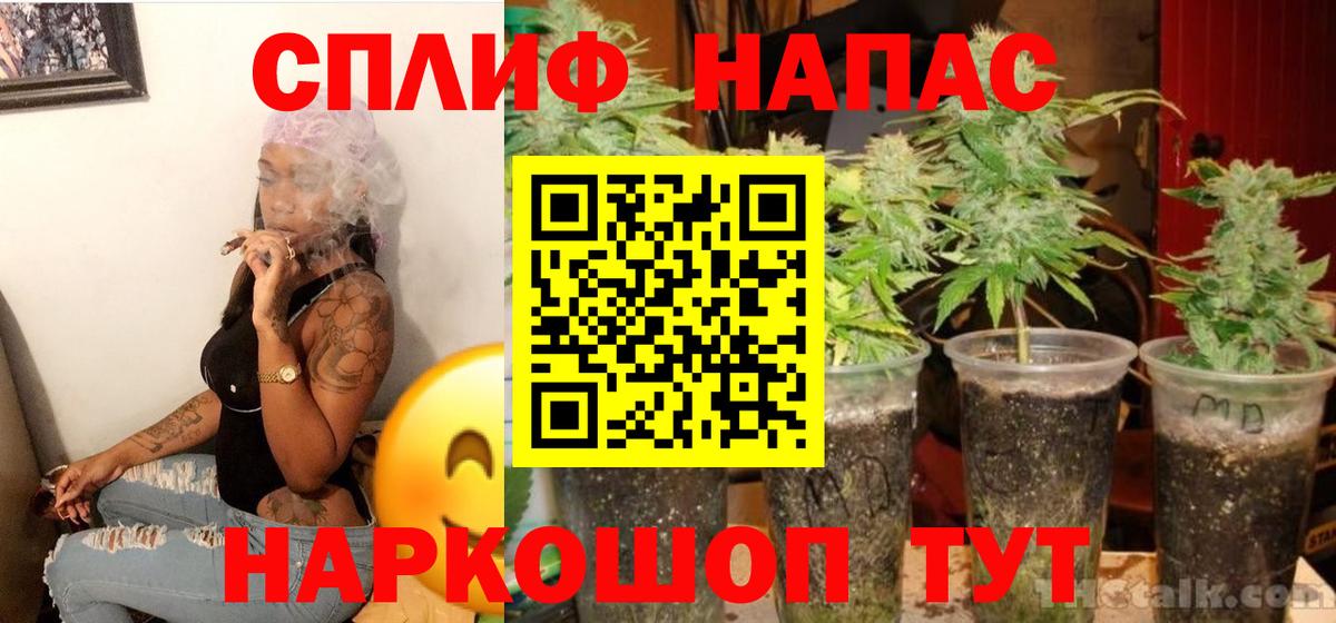 Марихуана ГИДРОПОН  МАРИХУАНА ГИДРОПОН  Конопля Amnesia  Мыски 